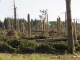 2022-05-20 - Tornado beim Sturmtief Emmelinde Solling - Steinlade bis Gehren (32)